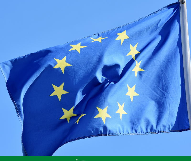 EU Flagge im Wind