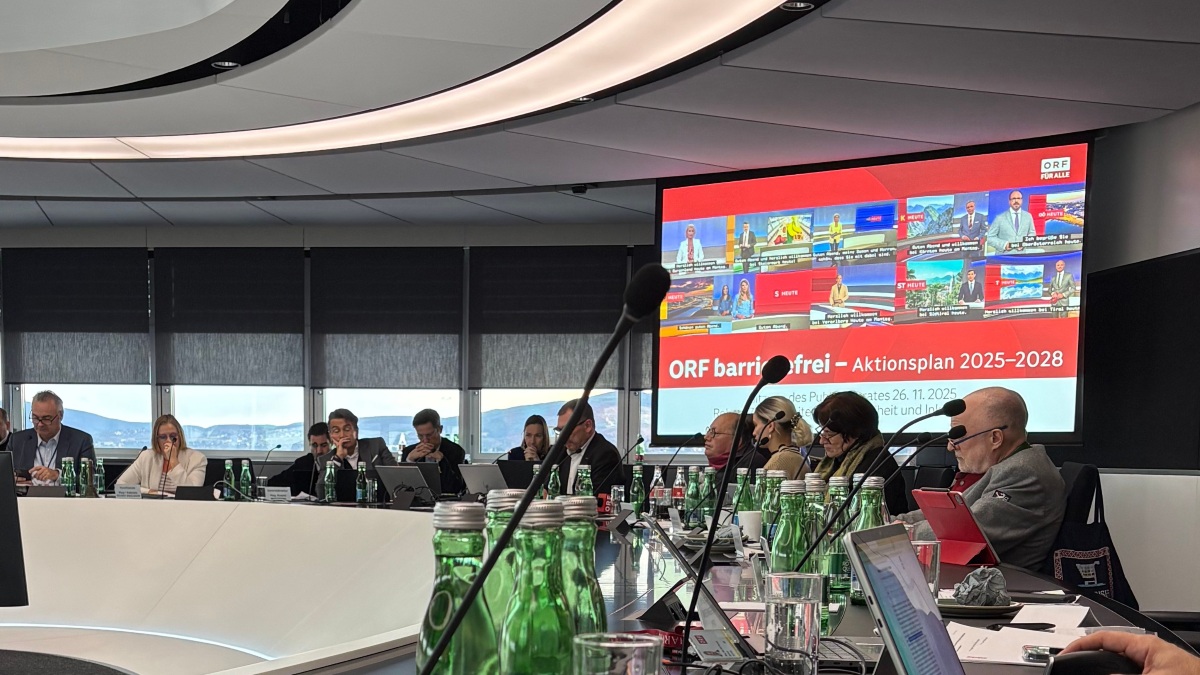 mehrere Personen sitzen in einem Raum, bei der Sitzung des Publikumsrates am 20.11.2025