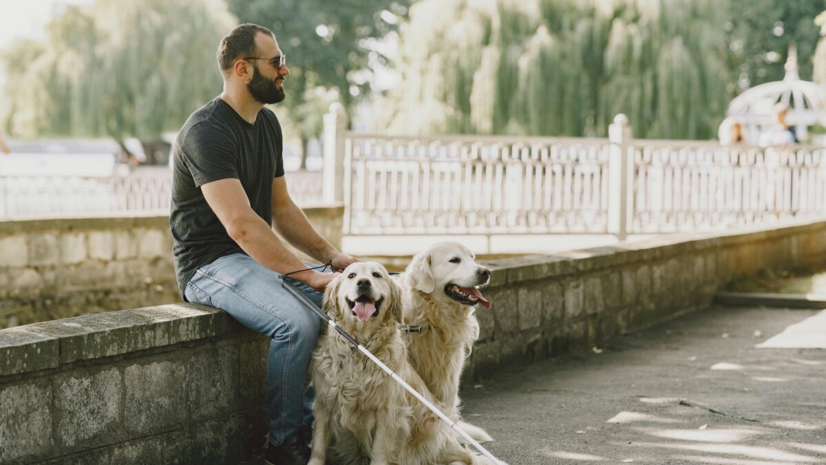Mann sitzt auf einer Betonbank, neben ihm zwei Blindenführhunde.