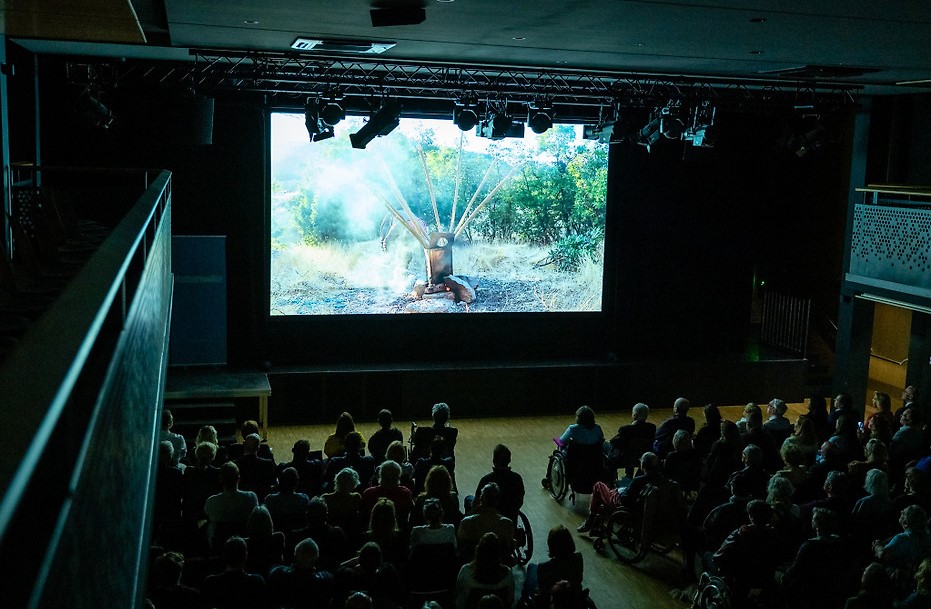 Besucher*innen sitzen im abgedunkelten Saal des Filmfestivals ART WITHOUT LIMIT und sehen einen Film auf einer großen Leinwand. Mehrere Personen nutzen Rollstühle. Die Aufnahme zeigt den Veranstaltungsraum aus erhöhter Perspektive.