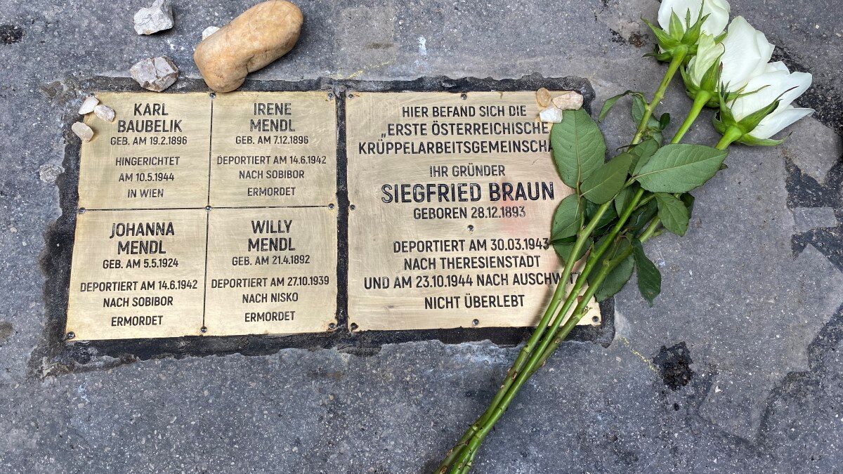 Messingfarbene Steine der Erinnerung im Gehsteig für Siegfried Braun und weitere Opfer des Nationalsozialismus. Auf den Tafeln stehen Namen sowie Informationen zu Deportation und Ermordung. Daneben liegen drei weiße Rosen.