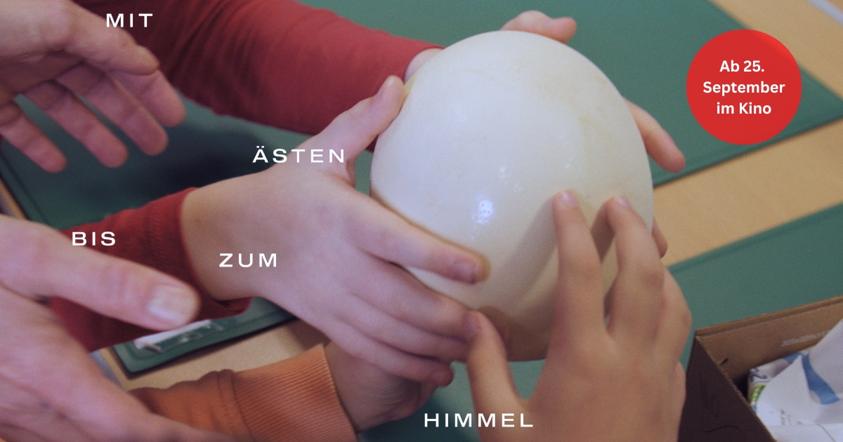 Mehrere Kinderhände ertasten gemeinsam ein großes Straußenei. Darüber liegt der Filmtitel „Mit Ästen bis zum Himmel“, daneben der Hinweis „Ab 25. September im Kino“.