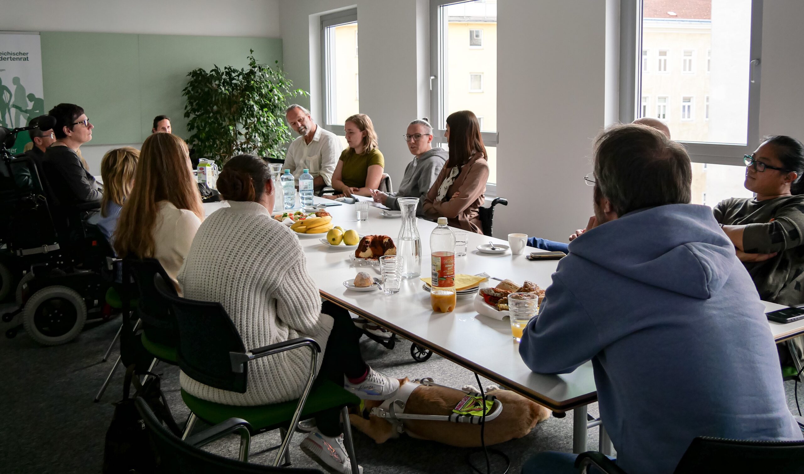 Teilnehmer des Disability Leadership Lehrgangs und Vertreter des Österreichischen Behindertenrats beim gemeinsamen Stammtisch und Austausch.